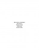 Plan de mejora para aumentar la productividad de empresa Georock S.A
