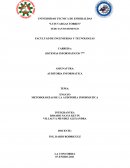 METODOLOGÍAS DE LA AUDITORÍA INFORMÁTICA