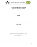 PLATOS COMESTIBLES BIODEGRADABLES MANUAL DE CARGOS Y FUNCIONES