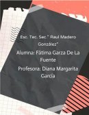 PROYECTO DE VIDA (FASES)