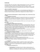 Medidores de masa, volumen y temperatura