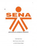 LA IMPORTANCIA DE LAS REDES DE TRANSPORTE