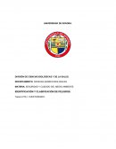 Cuestionario de identificación de peligros