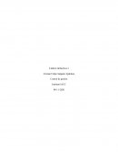 Control de gestion tarea 2