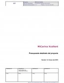 Presupuesto detallado del proyecto