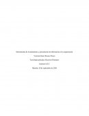 Herramientas de levantamiento y presentación de información en la organización