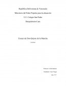 Ensayo de Don Quijote de la Mancha