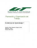 Planeación y Organización del Trabajo