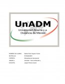 Mercadotecnia Internacional. Tipos de Mercado