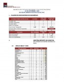 REPORTE EJECUTIVO DE SEGURIDAD Y SALUD OCUPACIONAL