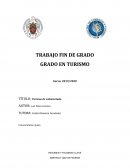 Turismo de voluntariado. ÍNDICE