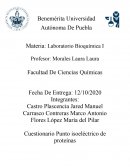 Punto isoeléctrico de las proteínas