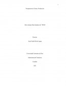 Presupuesto de Venta y Producción