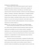 HISTORIA DEL LA PROMOCION SOCIAL