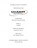 DELITOS EN LA ADUANA