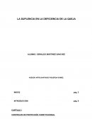 LA SUPLENCIA EN LA DEFICIENCIA DE LA QUEJA