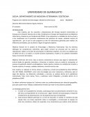 Programa de Ginecología y Obstetricia