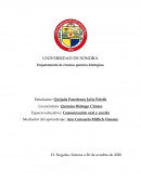 Libertad de expresión: feminismo