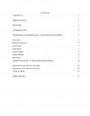 IMPORTANCIA DE LA INGENIERÍA INDUSTRIAL