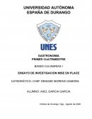 Investigación de Bases Culinarias