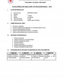 PLAN CURRICULAR ANUAL-NIVEL DE EDUCACIÓN INICIAL – 2019