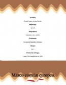 El Consejo de Europea desarrolló el Marco Común Europeo de Referencias de lenguas (MCER)