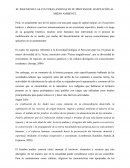 EL INGENIO DE LAS CULTURAS ANDINAS EN SU PROCESO DE ADAPTACIÓN AL MEDIO AMBIENTE
