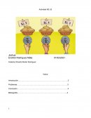 Macroeconomía Actividad . ¿qué es un mercado?