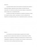 Enfoques de la psicologia moderna