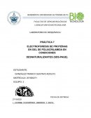 Electroforesis en gel de poliacrilamida SDS-PAGE