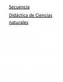 Secuencia Didáctica de Ciencias naturales