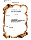 Impacto y repercusiones que ha ocasionado y ocasiona la pandemia en la población adulta en el Perú