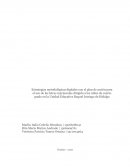 Estrategias metodológicas digitales con el plan de acción para el uso de las letras mayúsculas