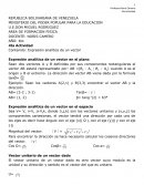 Expresión analítica de un vector