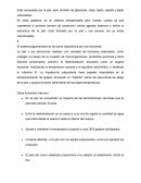 Sistema tegumentario