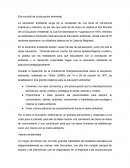 Día mundial de la educación ambiental