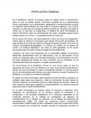 PERFILACION CRIMINAL