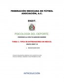 TIPOS DE ENTRENADORES EN MÉXICO