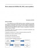 Breve síntesis de NANDA, NIC, NOC y marco político