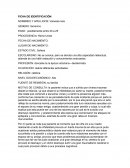 Hitorial clinico diverso traumas desde la infancia