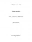 Actividad La importancia de las redes de transporte