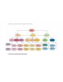 PLAN DE COMUNICACIÍON DE CRISIS