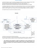 GESTION DE TESORERIA