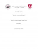 Dictamen sobre la película “Mi primo Vinny”