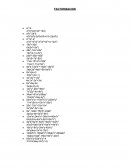 Matematica. Factorización