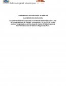 PLAN DE AUDITORIA DE GESTION