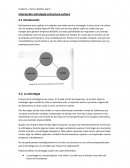 U6 -cap 5 Serra y Kastika- Interacción estrategia-estructura-cultura