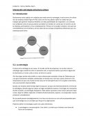 U6 -cap 5 Serra y Kastika- Interacción estrategia-estructura-cultura