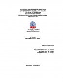 INFORME PROGRAMACION LINEAL