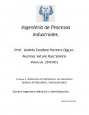 INGENIERÍA DE PROCESOS DE LAS INDUSTRIAS QUÍMICA, PETROQUÍMICA Y METALMECÁNICA